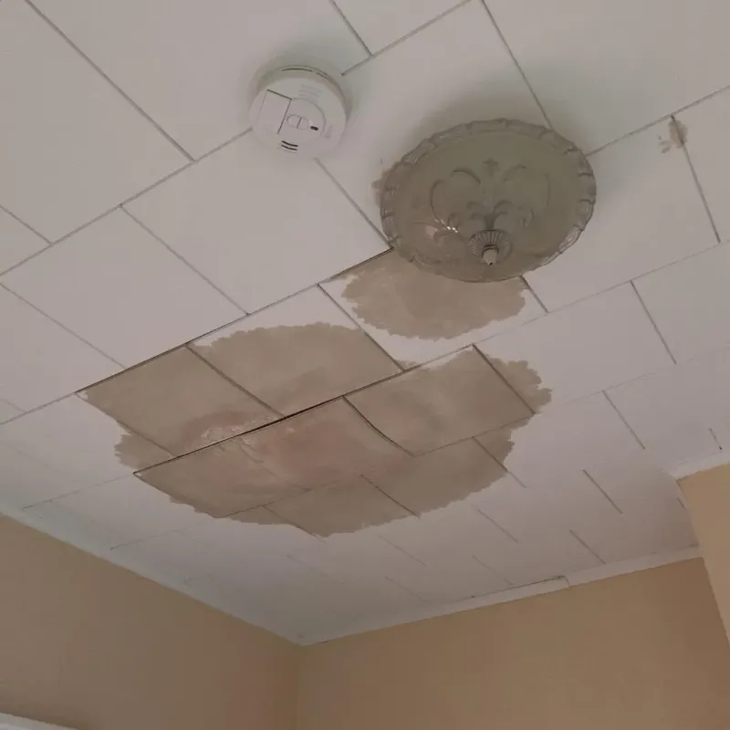 Ceiling Water Damage Repair in Clinton, MS