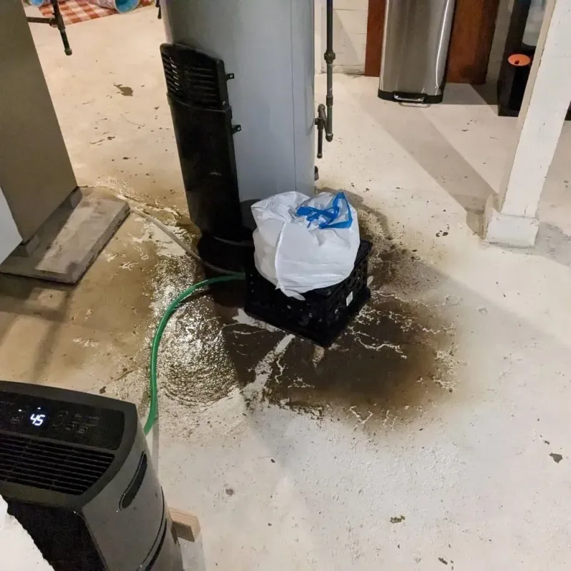 Sewage Backup Cleanup Service in Clinton, MS